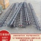 C60橋梁伸縮縫 伸縮縫C60種類全 橋梁伸縮縫裝置公路橋梁
